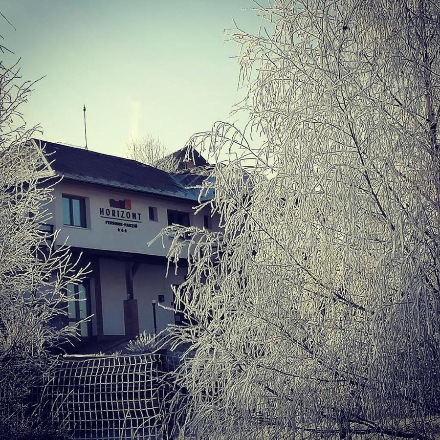 Horizont Panzio Bed and Breakfast Odorheiu Secuiesc Εξωτερικό φωτογραφία