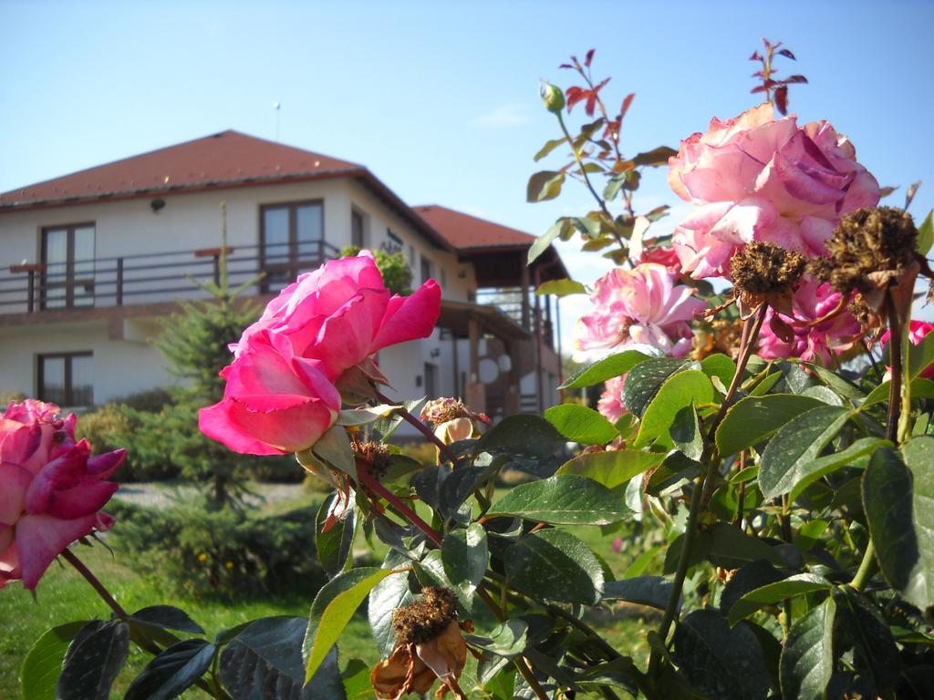 Horizont Panzio Bed and Breakfast Odorheiu Secuiesc Εξωτερικό φωτογραφία